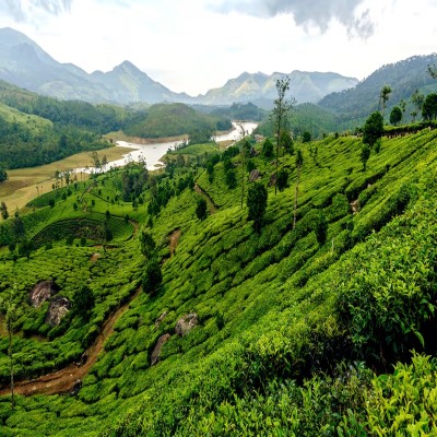 Spice Plantation Tours